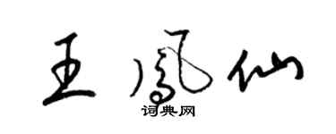 梁锦英王凤仙草书个性签名怎么写