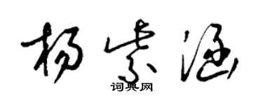 梁锦英杨紫涵草书个性签名怎么写