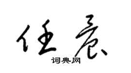 梁锦英任晨草书个性签名怎么写