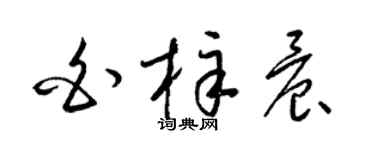 梁锦英白梓晨草书个性签名怎么写