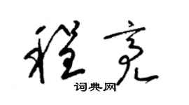 梁锦英程亮草书个性签名怎么写