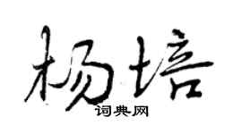 曾庆福杨培行书个性签名怎么写