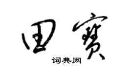 梁锦英田宝草书个性签名怎么写