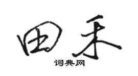 骆恒光田禾行书个性签名怎么写