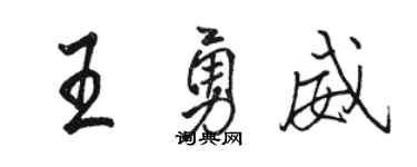 骆恒光王勇威行书个性签名怎么写