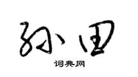 梁锦英孙田草书个性签名怎么写