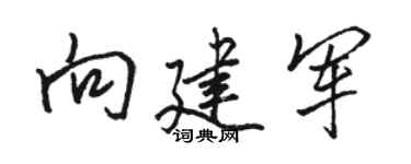 骆恒光向建军行书个性签名怎么写