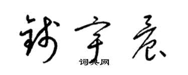 梁锦英钱宇晨草书个性签名怎么写