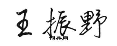 骆恒光王振野行书个性签名怎么写