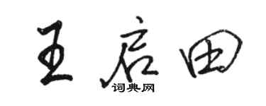 骆恒光王启田行书个性签名怎么写