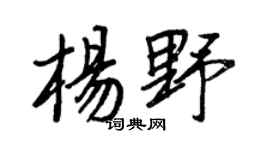 王正良杨野行书个性签名怎么写