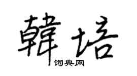 王正良韩培行书个性签名怎么写