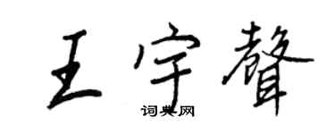 王正良王宇声行书个性签名怎么写