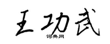 王正良王功武行书个性签名怎么写