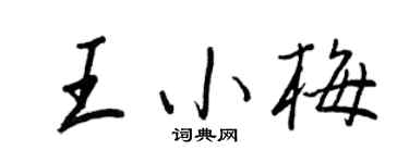 王正良王小梅行书个性签名怎么写