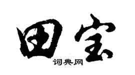 胡问遂田宝行书个性签名怎么写