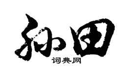 胡问遂孙田行书个性签名怎么写