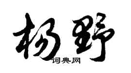 胡问遂杨野行书个性签名怎么写