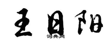 胡问遂王日阳行书个性签名怎么写