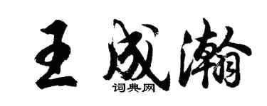 胡问遂王成瀚行书个性签名怎么写