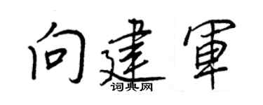 王正良向建军行书个性签名怎么写