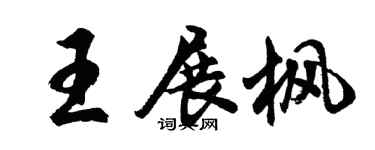 胡问遂王展枫行书个性签名怎么写