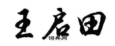 胡问遂王启田行书个性签名怎么写