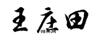 胡问遂王庄田行书个性签名怎么写