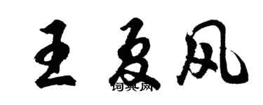 胡问遂王夏风行书个性签名怎么写