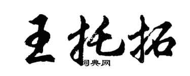 胡问遂王托拓行书个性签名怎么写