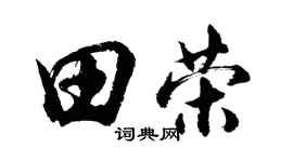 胡问遂田荣行书个性签名怎么写