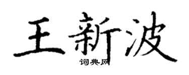 丁谦王新波楷书个性签名怎么写