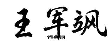 胡问遂王军飒行书个性签名怎么写