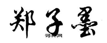 胡问遂郑子墨行书个性签名怎么写