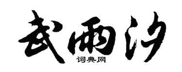 胡问遂武雨汐行书个性签名怎么写