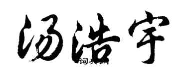 胡问遂汤浩宇行书个性签名怎么写