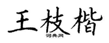 丁谦王枝楷楷书个性签名怎么写