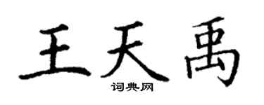 丁谦王天禹楷书个性签名怎么写