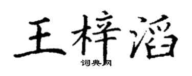 丁谦王梓滔楷书个性签名怎么写