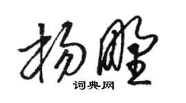 骆恒光杨野草书个性签名怎么写