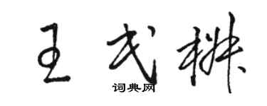 骆恒光王民椒草书个性签名怎么写