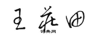 骆恒光王庄田草书个性签名怎么写