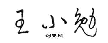 骆恒光王小勉草书个性签名怎么写