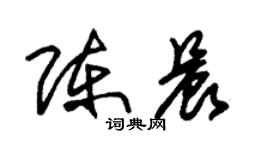 朱锡荣陈晨草书个性签名怎么写