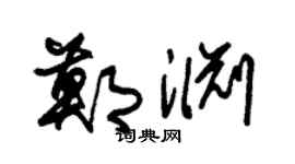 朱锡荣郑渊草书个性签名怎么写