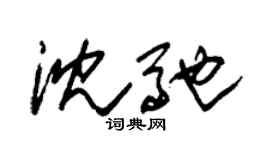 朱锡荣沈驰草书个性签名怎么写