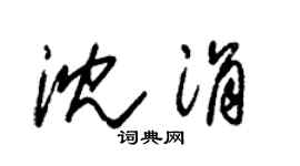 朱锡荣沈涓草书个性签名怎么写