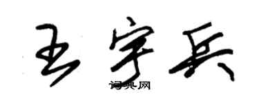 朱锡荣王宇兵草书个性签名怎么写