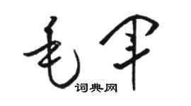 骆恒光毛军草书个性签名怎么写