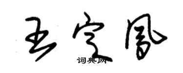 朱锡荣王定凤草书个性签名怎么写